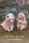 画像1: ◇アモーレ&ミ・アモーレ◆たからばこわーるど個展 「ねぇねぇ　かまってよ〜大好きなぬくもり〜白変種狸となかまたち」2/23(月)〜3/1(日)、2/26(木)〜3/3（火） (1)