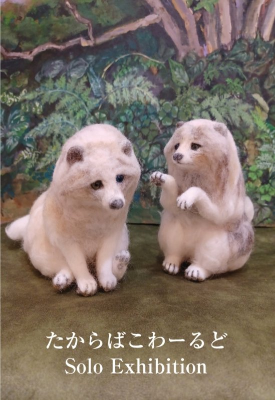画像1: ◇アモーレ&ミ・アモーレ◆たからばこわーるど個展 「ねぇねぇ　かまってよ〜大好きなぬくもり〜白変種狸となかまたち」2/23(月)〜3/1(日)、2/26(木)〜3/3（火） (1)
