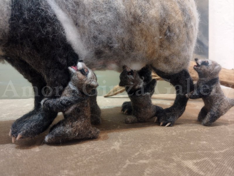 画像3: 初夢（ママwithホンドタヌキベビーズ） (3)