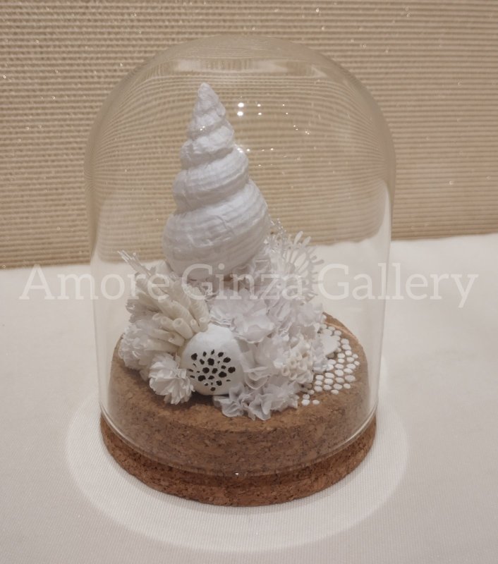 画像1: 永遠の断片 (1)