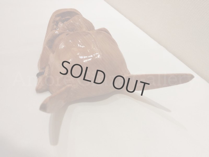 画像3: 明日への希望 (3)