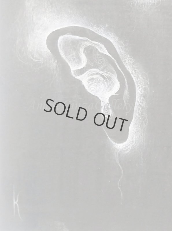 画像2: ひそか (2)