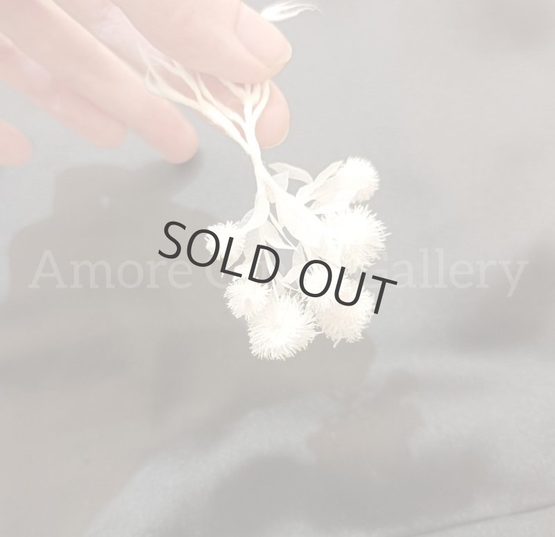 画像2: 紙標本(花) (2)